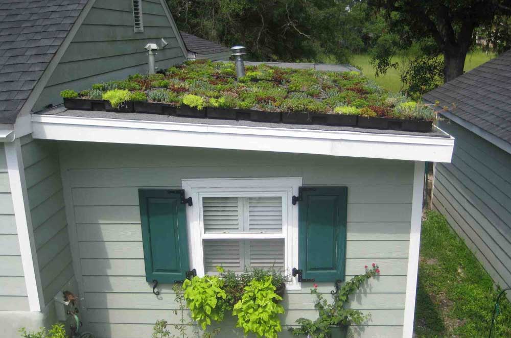Flat Roofing Installation As An Alternative For Green Roofs