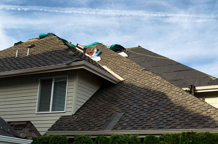 Do You Need a Roof Repair or a Roof Replacement?